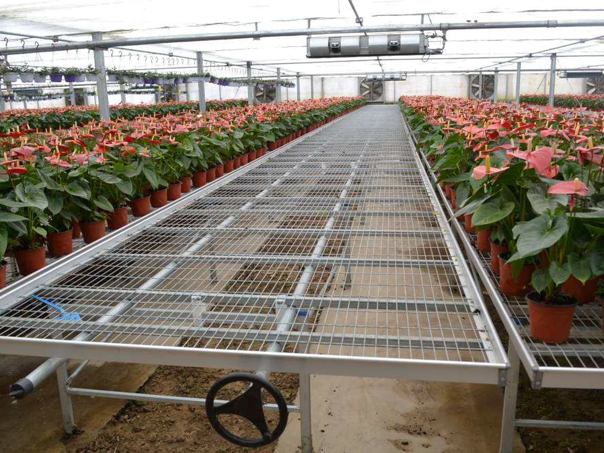 Greenhouse layout using welded mesh